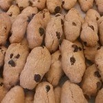 biscotti
